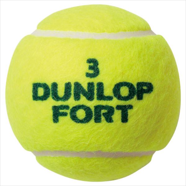 ダンロップ [DUNLOP] フォート キャンペーン 1箱（1缶4球入/30缶/120球※10ダース）※エコキャップ 2023年