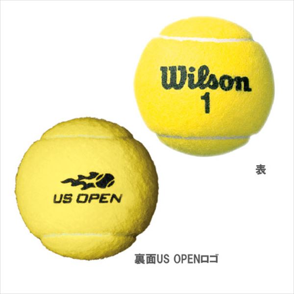 Wilson 硬式テニスボール2個 - ボール