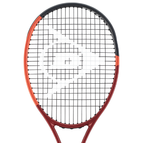ウインザーオンラインショップダンロップ シーエックス 400