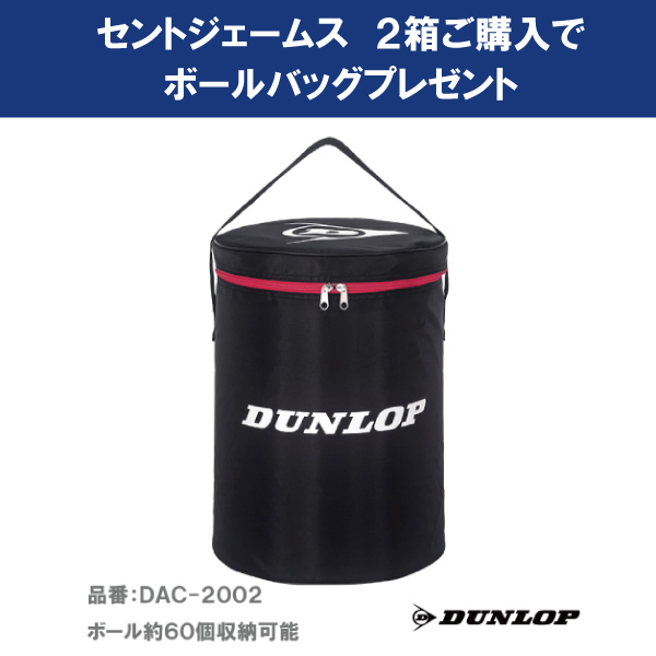 ウインザーオンラインショップ【先着で2箱ご購入でボールバッグ