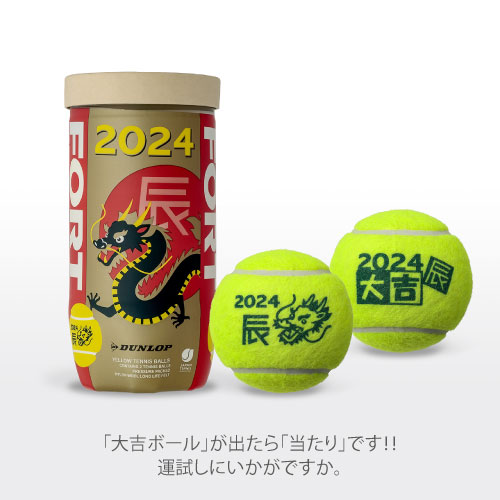 【干支ボール】ダンロップ DUNLOP フォート 1箱 （1缶2球入/30缶/60球※5ダース DFF24ETOYL2CS60） 2024年「辰」