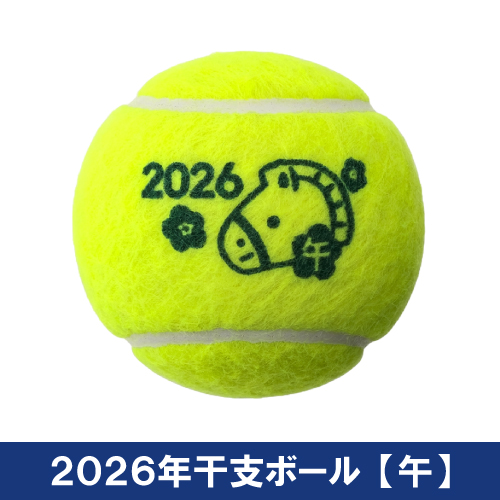 ウインザーオンラインショップ【1】ダンロップ ① 2026グッズ福袋 FORT