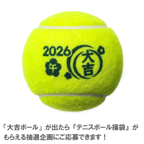 ウインザーオンラインショップ【2】ダンロップ ② 2026グッズ福袋 AO