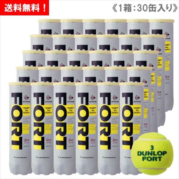 ダンロップ DUNLOP FORT 120個 〔50円/個〕 - ボール