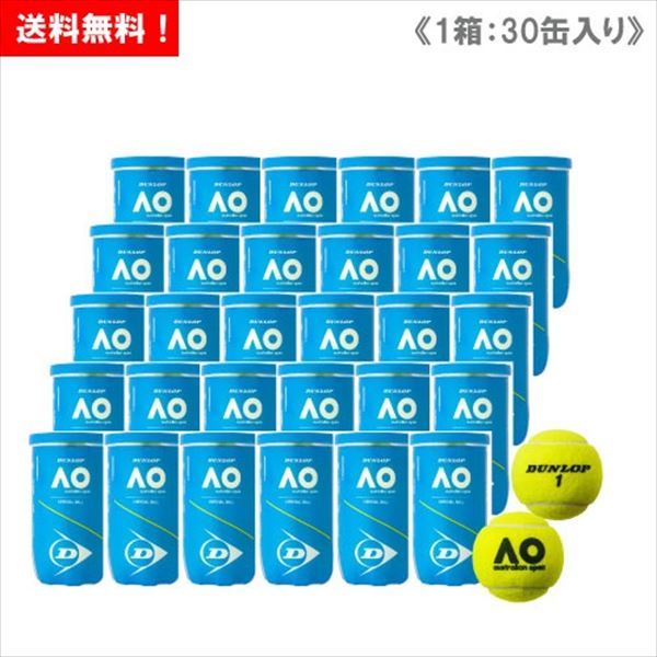 お気に入りの ダンロップ DUNLOP FORT フォート 1箱 1缶2球入 30缶 60