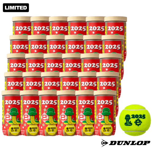 【新品】 Dunlop　ダンロップ フォート　1箱120球 DUNLOP 『即日出荷』DUNLOP ダンロップ FORT フォート [4個入]1