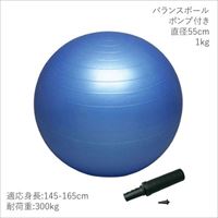 【メーカー取寄せ商品】ハタ バランスボールセイフティー55 ポンプ付き(DB55P)※直径55cm ボディケアグッズ