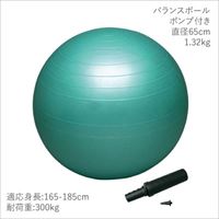 【メーカー取寄せ商品】ハタ バランスボールセイフティー65 ポンプ付き(DB65P)※直径65cm ボディケアグッズ
