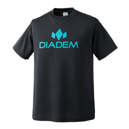 DDM_2