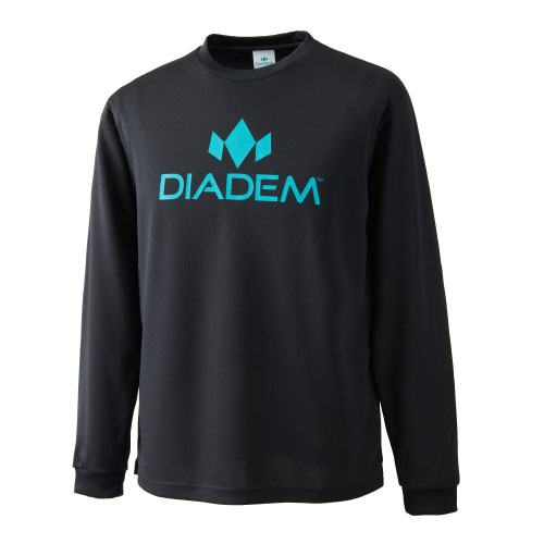 DDM_4