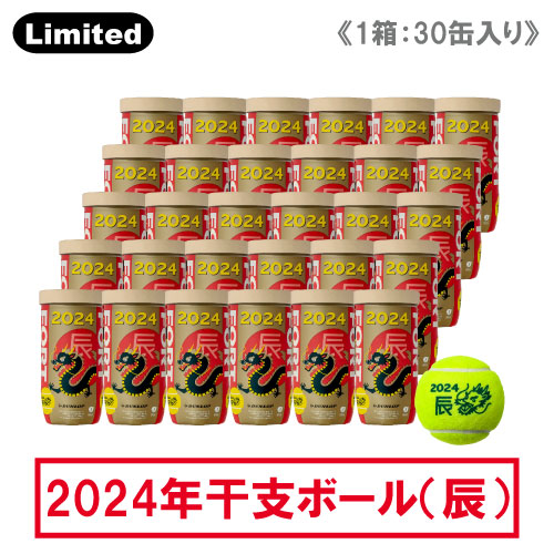 【干支ボール】ダンロップ DUNLOP フォート 1箱 (1缶2球入/30缶/60球※5ダース DFF24ETOYL2CS60) 2024年「辰」(30缶入り)