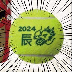 【テニスボール】●ダンロップ●干支ボール予約受け中(^O^)／