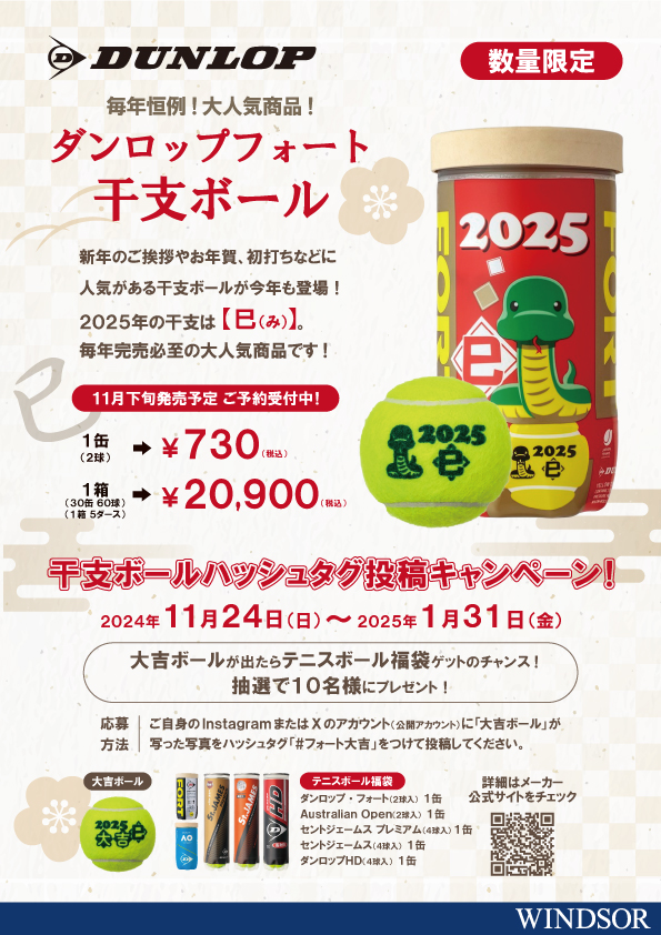 ダンロップ 硬式テニスボール FORT 1ケース（60球）2球30缶