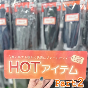 (´･ω･)くおすすめ商品紹介～HOTアイテム②～