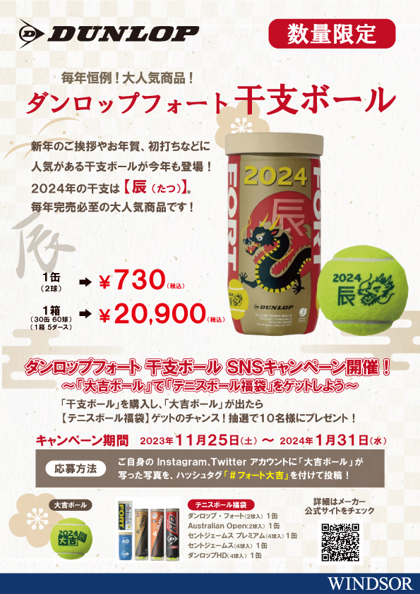 ダンロップ DUNLOP 硬式テニスボール 干支ボール 2024年「辰」FORT(フォート) 2個入 DFE23ETOYL2