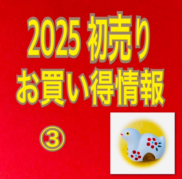 ★2025 初売り お買得情報 ③　バボラ・プリンス テニスシューズ★