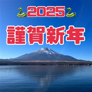 新年明けましておめでとうございます(^O^)／