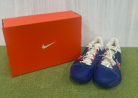 ★NIKE 新作シューズ★ 入荷しました!
