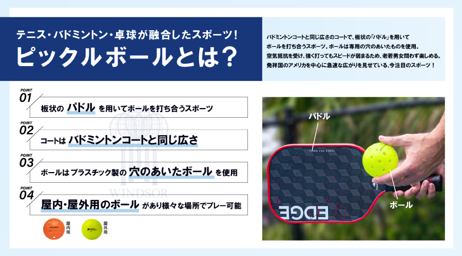 【DIADEM】ピックルボールパドル発売中です!!