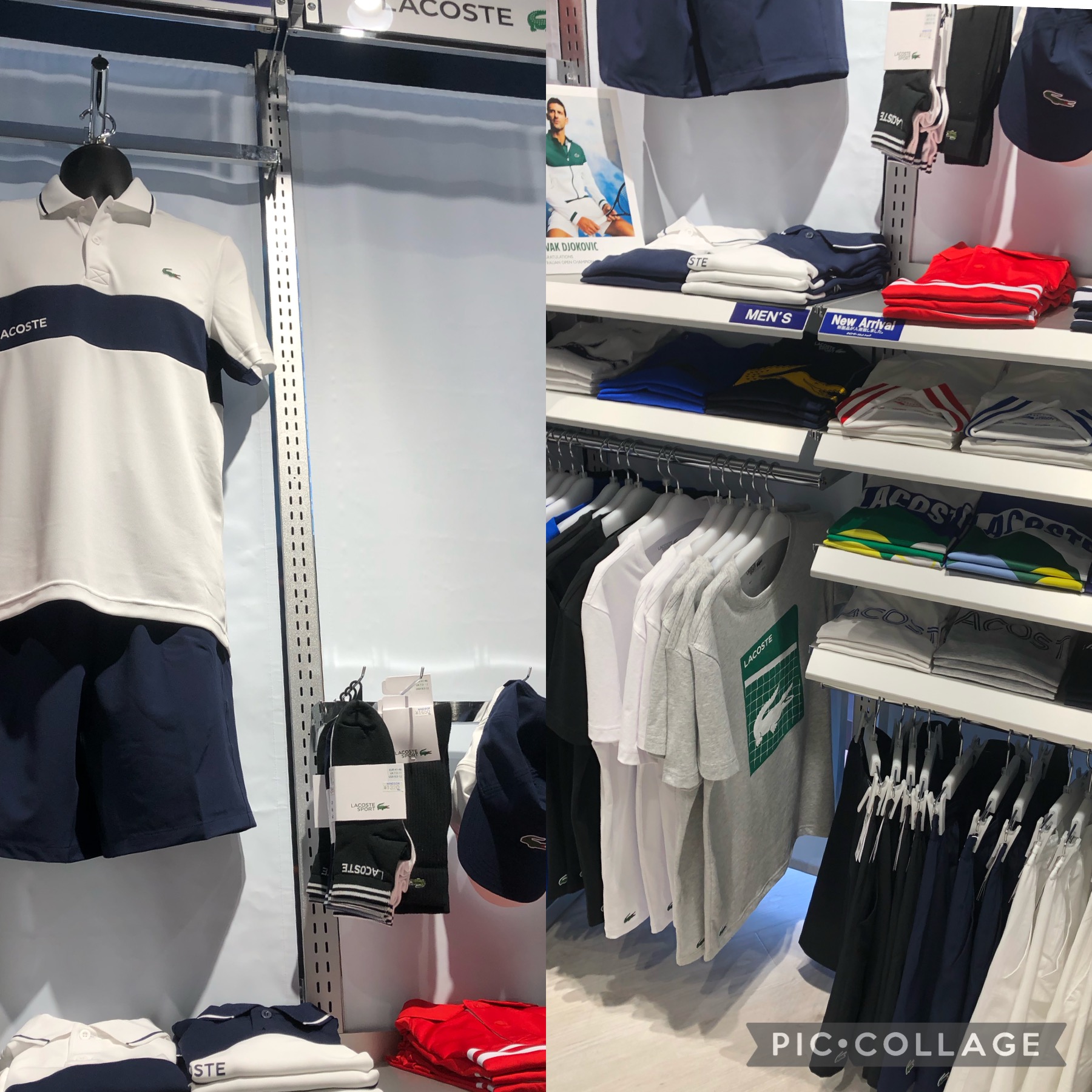 ラコステのウェア取り扱い始めました