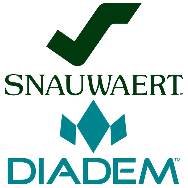 【スノワート＆ダイアデム】硬式テニスラケットご購入でノベルティプレゼント※先着順となります