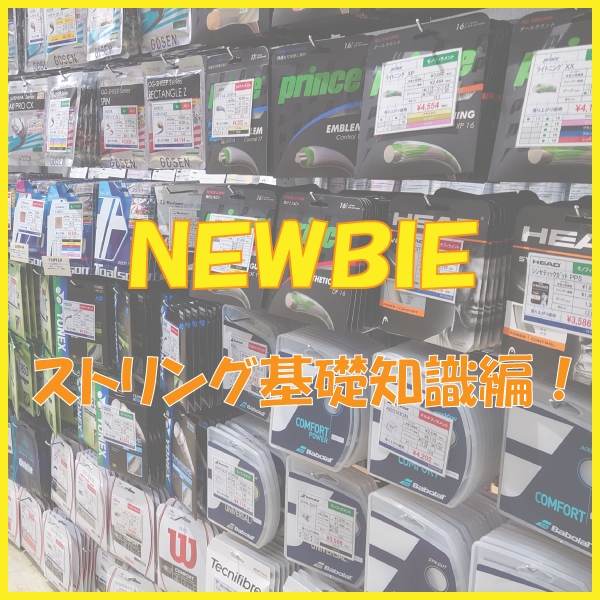 NEWBIE【ストリング基礎知識編】