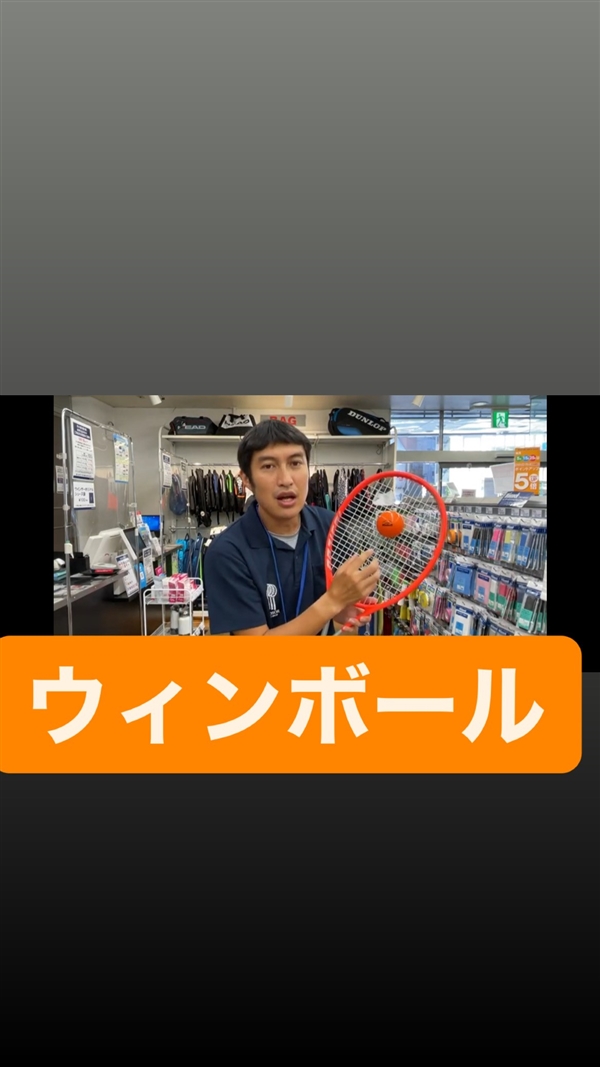 ツボブロ No8 【ウィンボール】