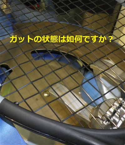 ガットの状態は如何ですか？