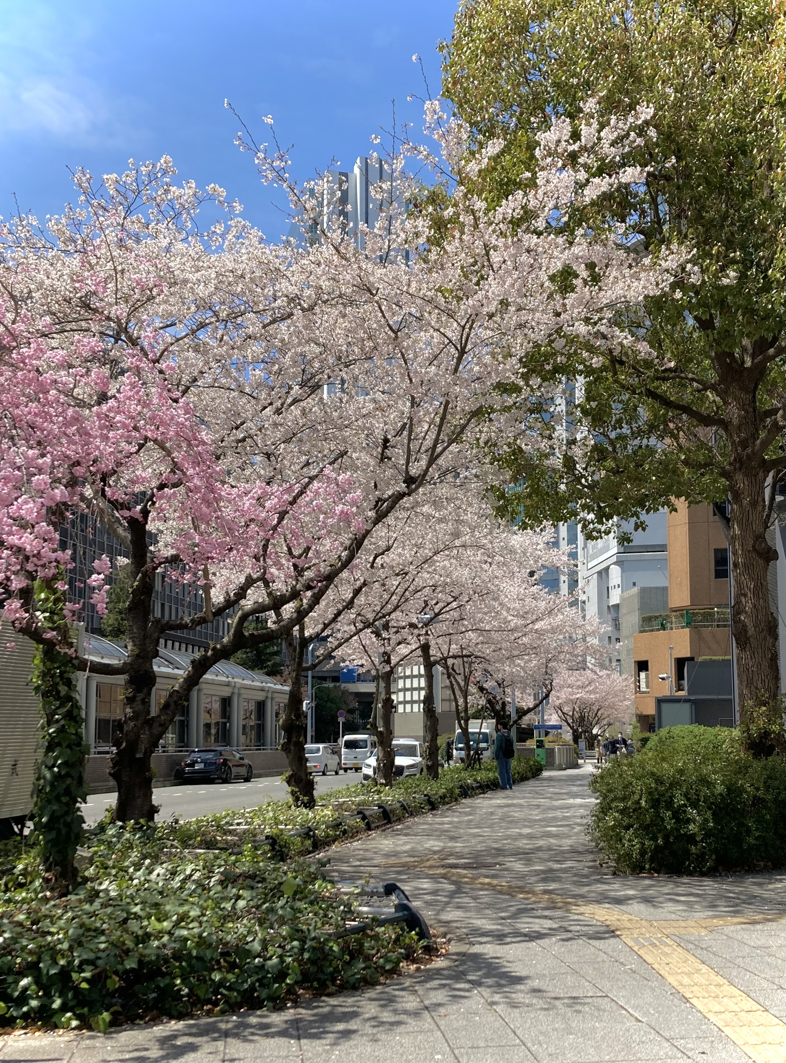 【NEW】今週の新着ウェア♪【土曜更新】