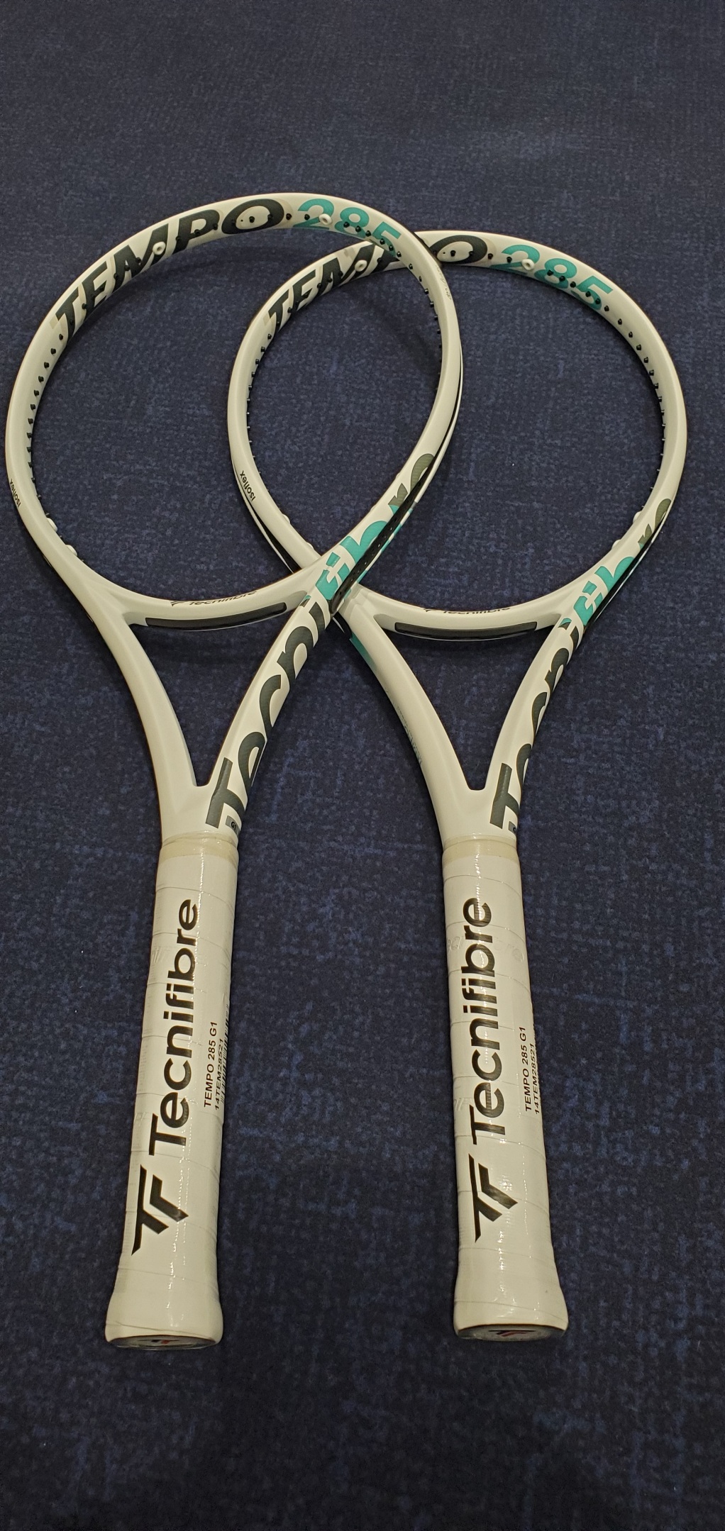 TEMPOシリーズに仲間入り(^_^)/