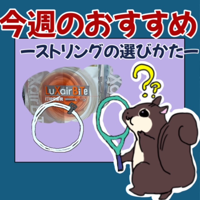 ☆今週のおすすめガット！！！