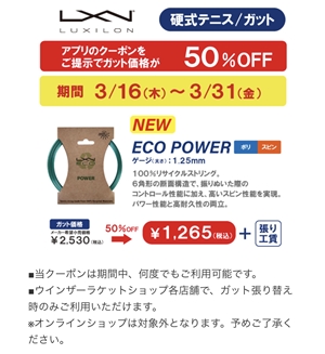 お得なクーポン配信中　ブログNO5