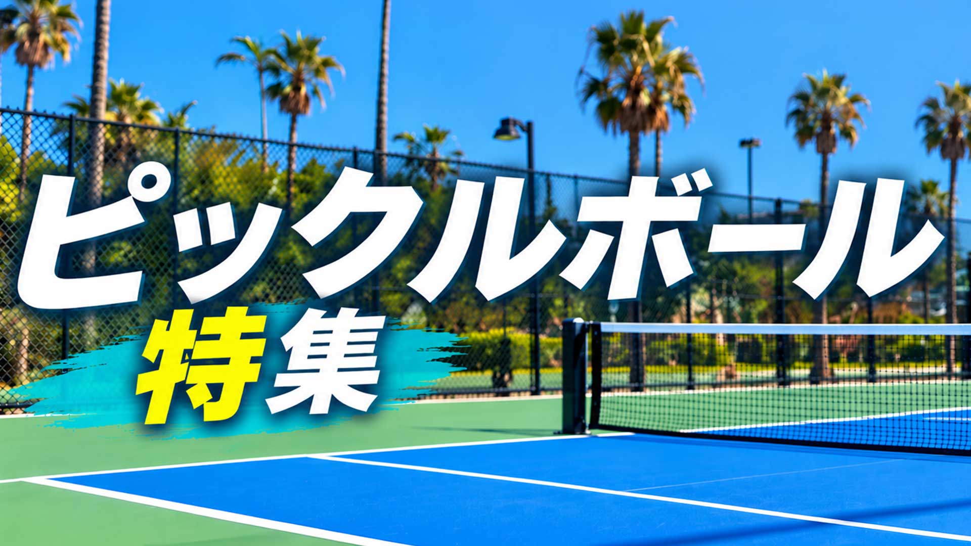 ピックルボール